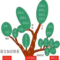 初中语文基础知识/作文/中考知识点大全‬iPhone版