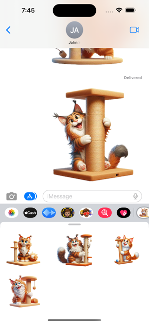 Maine Coon Cat ScratchiPhone版截图6