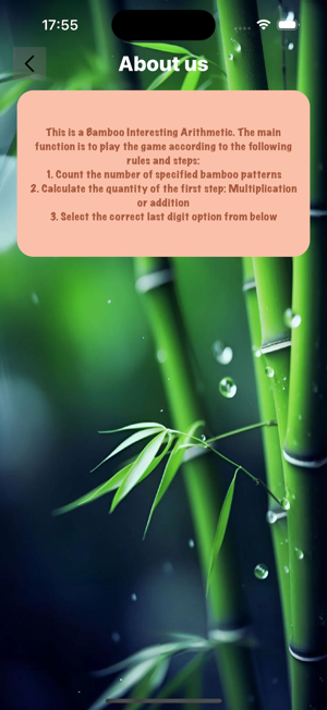 Bamboo Interesting ArithmeticiPhone版截图4