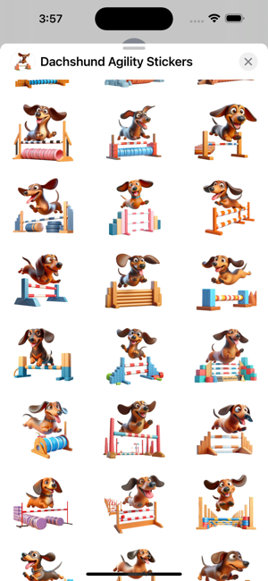 Dachshund Agility StickersiPhone版截图2