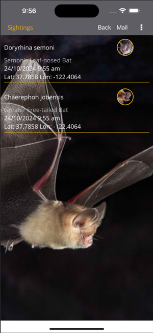 Field Guide to Australian BatsiPhone版截图10