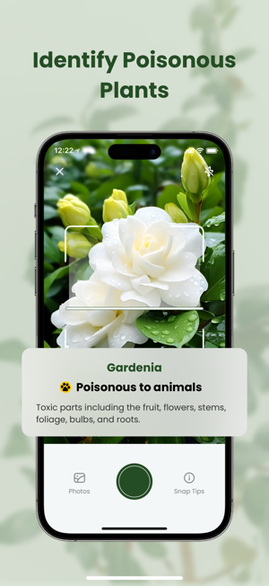 MyPlant: Identify & CareiPhone版截图3