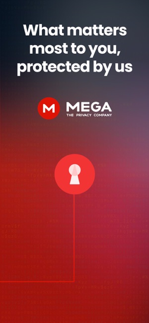 MEGA Pass－密码管理器iPhone版截图7